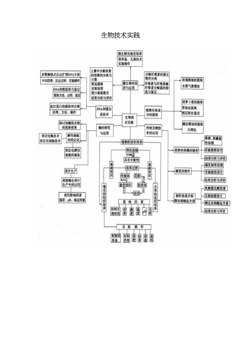 生物技术实践.docx_第1页