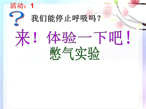 431呼吸道对空气的处理-吉林省伊通满族自治县河源镇满族九年一贯制学校七年级生物下册课件(共41张PPT).ppt