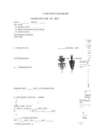 山东省重点中学八年级生物上册1.5第一课时《根的结构与功能》学案济南版.docx