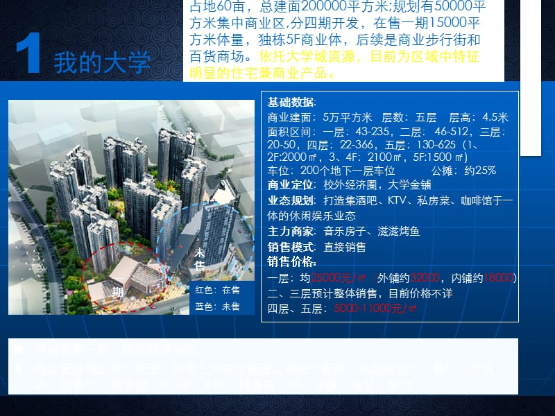 《新都竞争市场分析》PPT课件.pptx_第2页