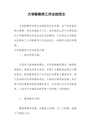 2021年大学新教师工作总结范文.docx