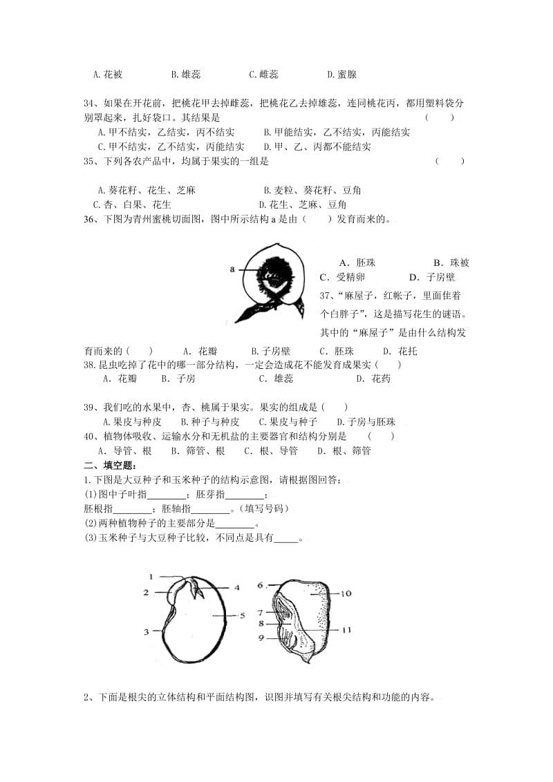 苏教版生物七上第五章绿色植物的一生同步测试题三.doc_第3页