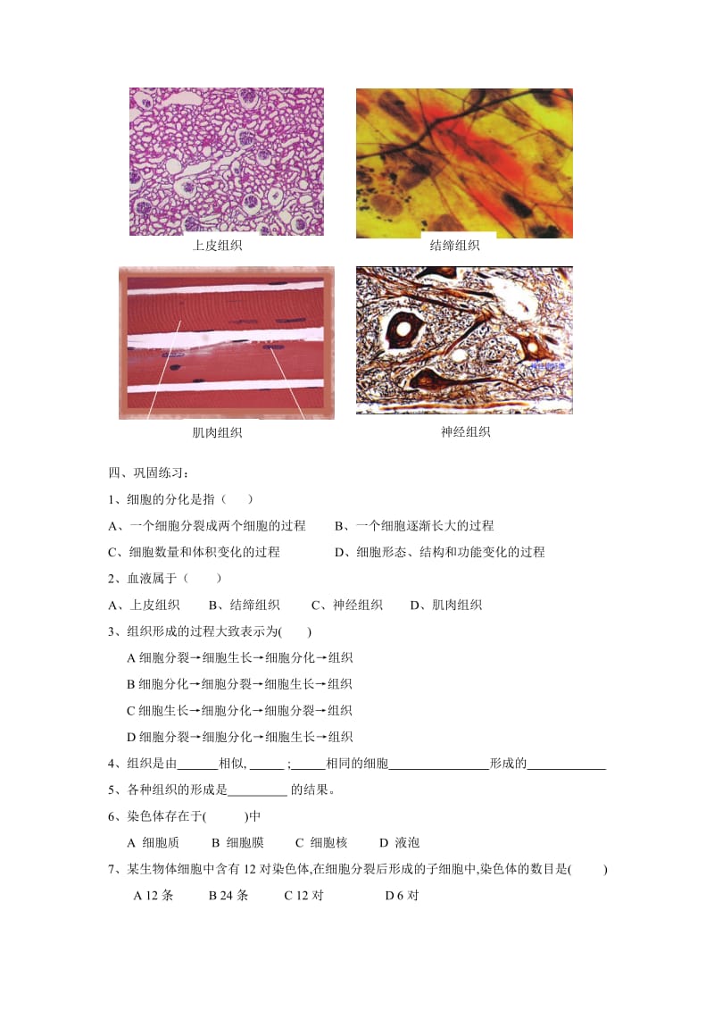 苏教版生物七上第一节细胞的分裂与分化word学案.doc_第3页