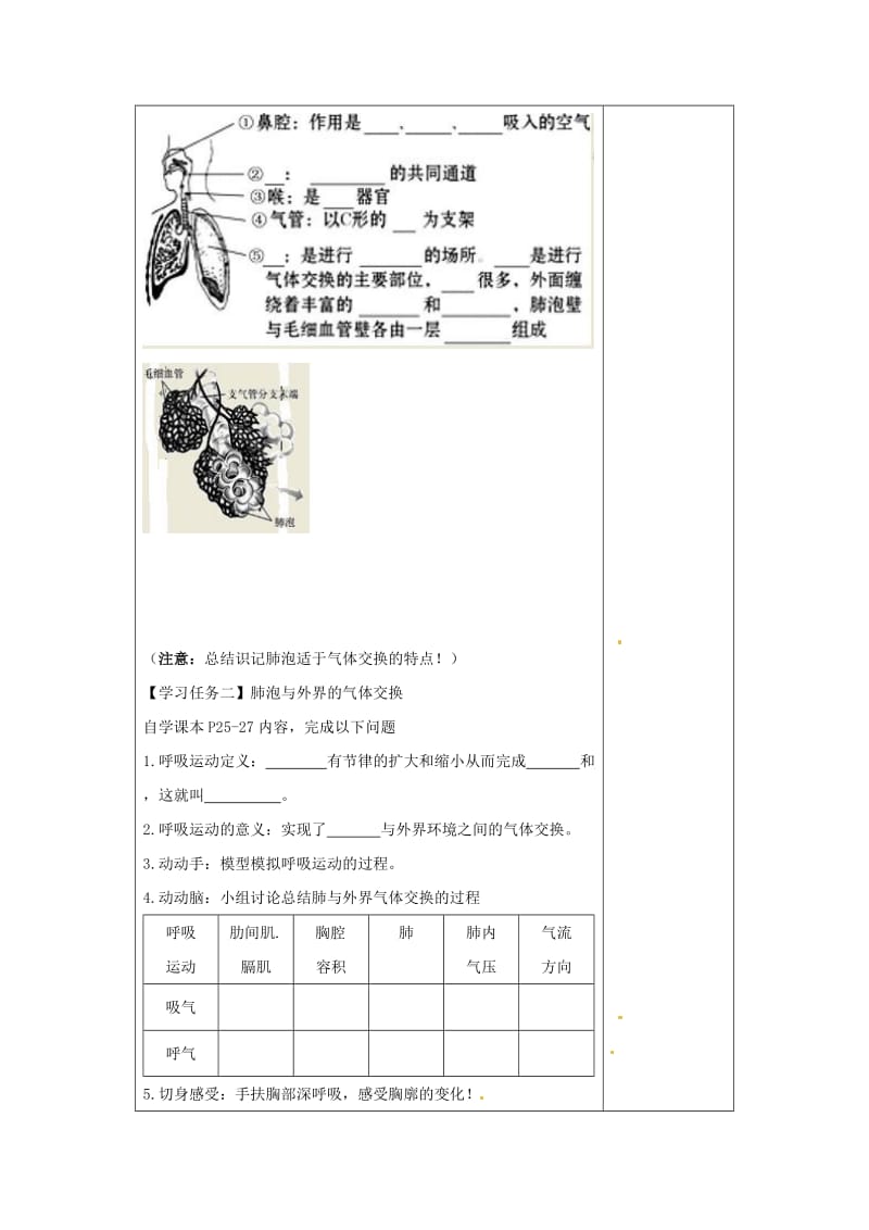 济南版生物七下人体与外界的气体交换(第1课时).doc_第2页