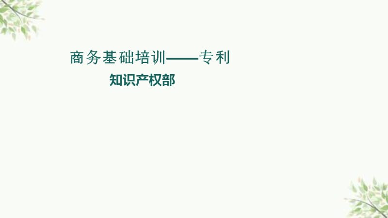 商务基础培训-专利课件.ppt_第1页