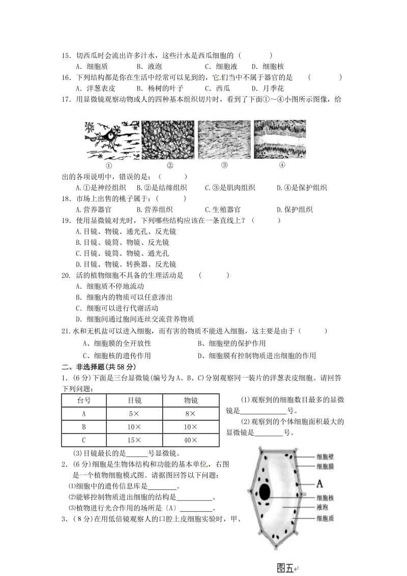 济南版生物七上第二章严整的生命结构同步测试题.doc_第2页