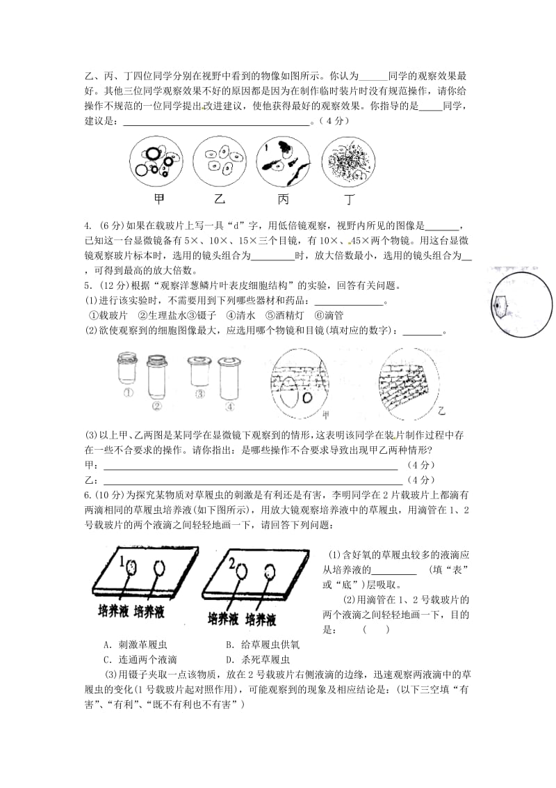 济南版生物七上第二章严整的生命结构同步测试题.doc_第3页