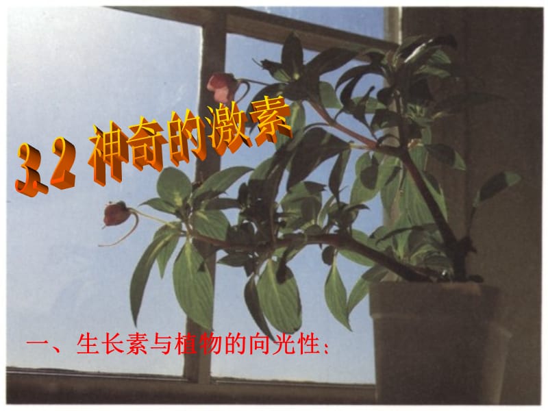 31植物生命活动的调节(2)B.ppt_第1页