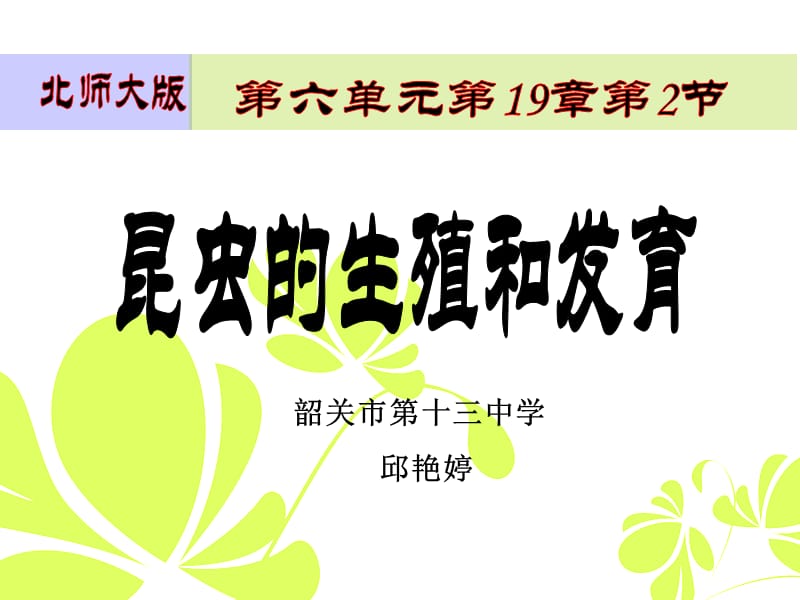 昆虫的生殖和发育说课(邱艳婷）.ppt_第1页