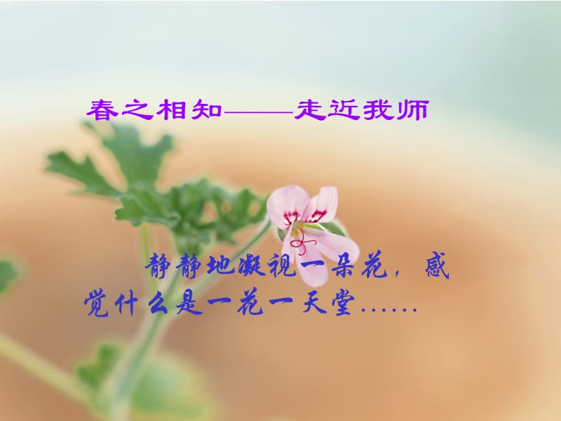 我爱我师_我知我师.ppt_第3页