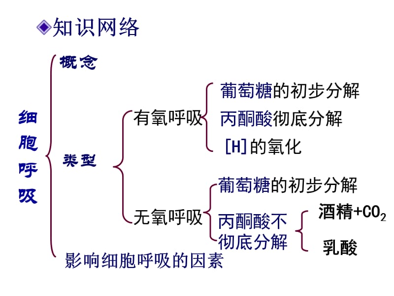 2013届高考第一轮复习课件——细胞呼吸.ppt_第3页