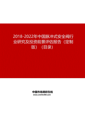 2019-2022年中国脉冲式安全阀行业研究及投资前景评估报告(定制版)目录.pdf