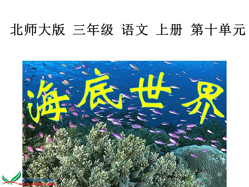 《海底世界》第一课时课件.ppt_第1页