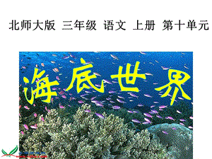 《海底世界》第一课时课件.ppt