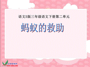 《蚂蚁的救助》课件.ppt