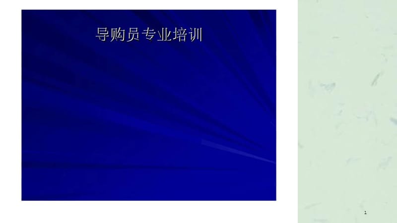 导购员专业培训课件.ppt_第1页