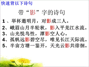 《竹影》.ppt