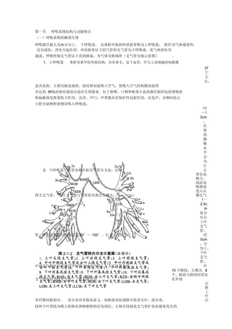 呼吸系统结构与功能特点.docx_第1页