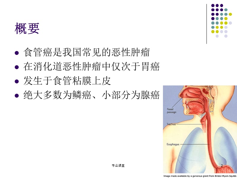 食管癌的临床表现[特制荟萃].ppt_第2页