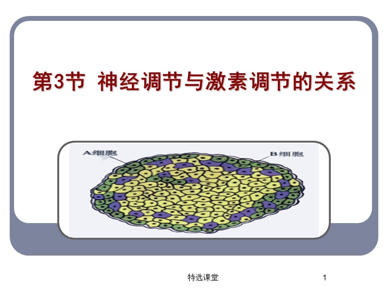 人教版教学课件第三节神经调节与体液调节的关系[基础教学].ppt_第1页