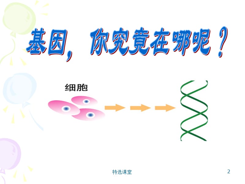 基因和染色体的关系(基因在染色体上)[教学课堂].ppt_第2页