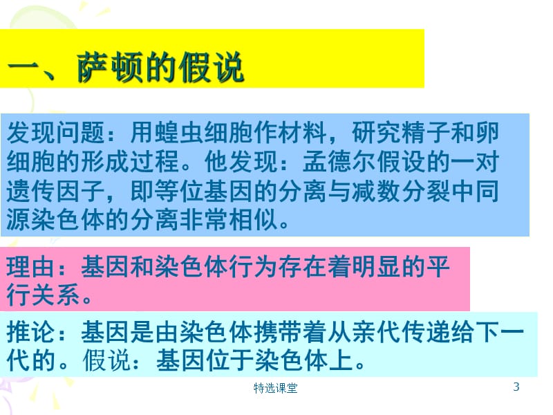 基因和染色体的关系(基因在染色体上)[教学课堂].ppt_第3页