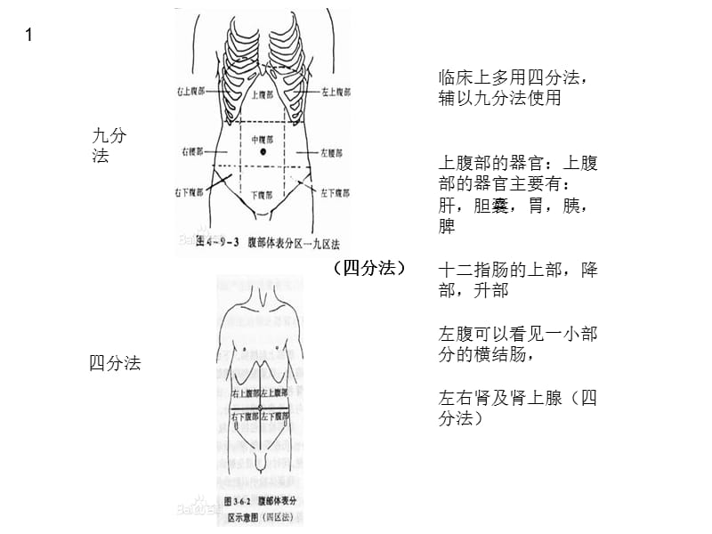 《胆结石的隐患》PPT课件.ppt_第2页