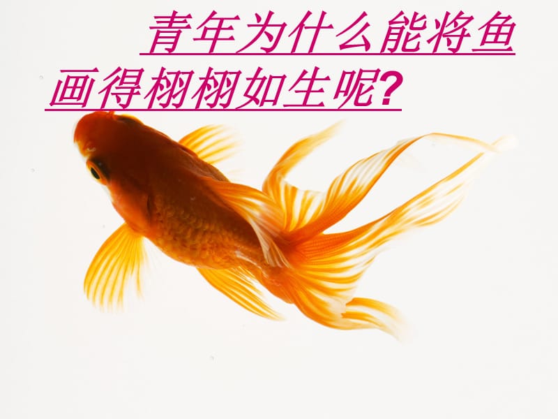 27《鱼游到了纸上》教学课件 (2).ppt_第2页