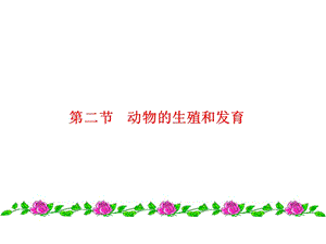 《动物的生殖和发育》PPT课件.ppt