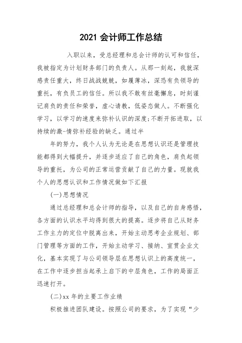 2021会计师工作总结.docx_第1页