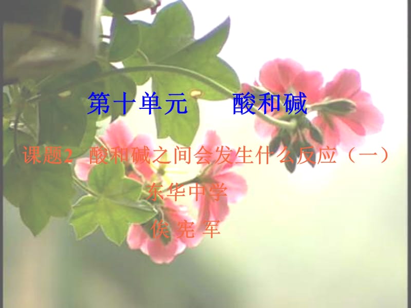 酸和碱之间会发生仕么反应俟宪军.ppt_第1页