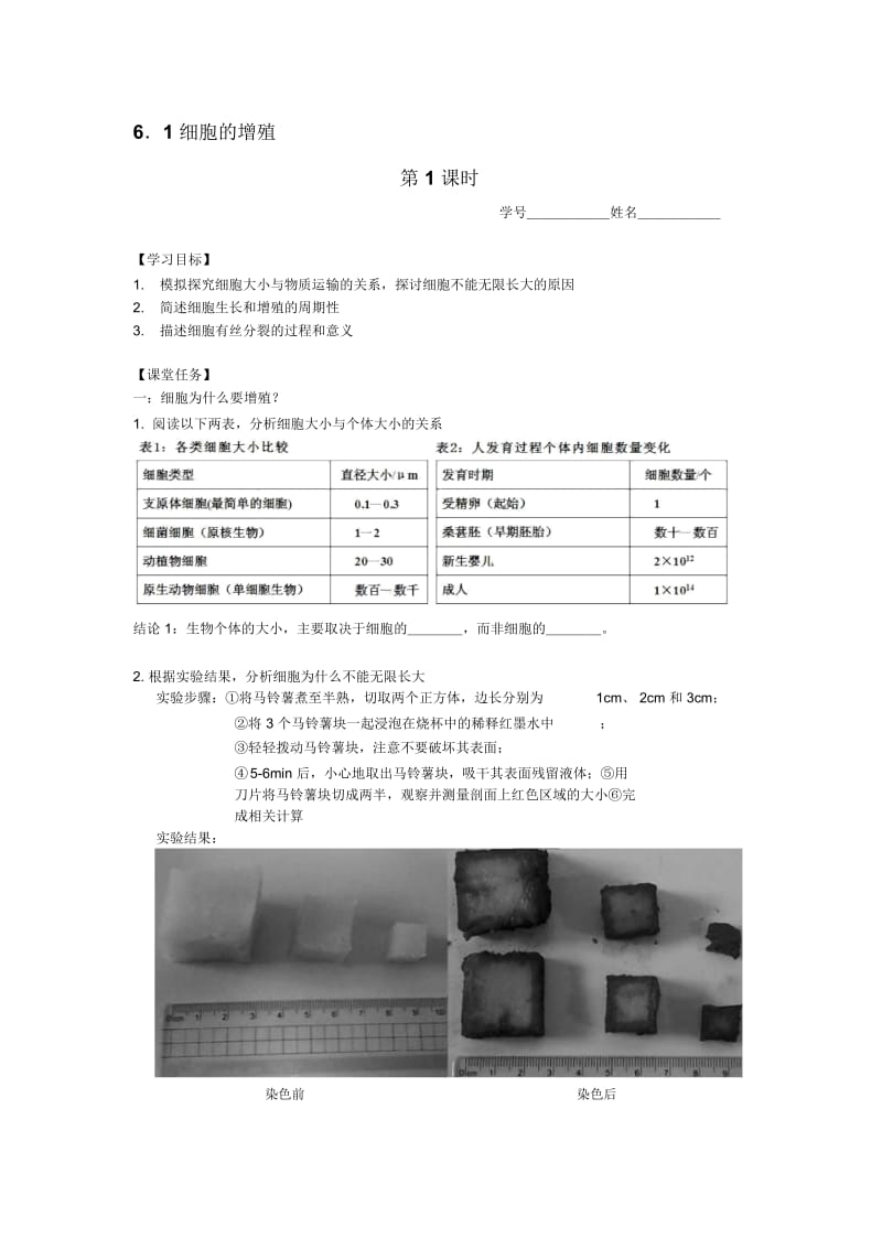 《细胞的增殖》教案1.docx_第1页