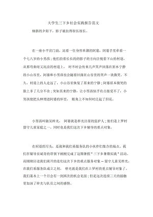 大学生三下乡社会实践报告范文.docx