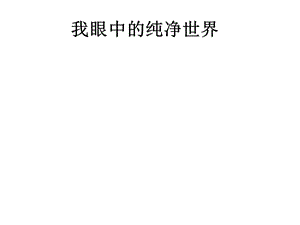 （我眼中的纯净世界）.ppt