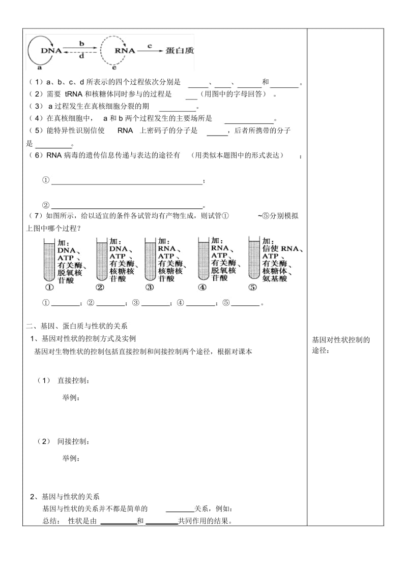 《基因对性状的控制》导学案王云秋.docx_第3页