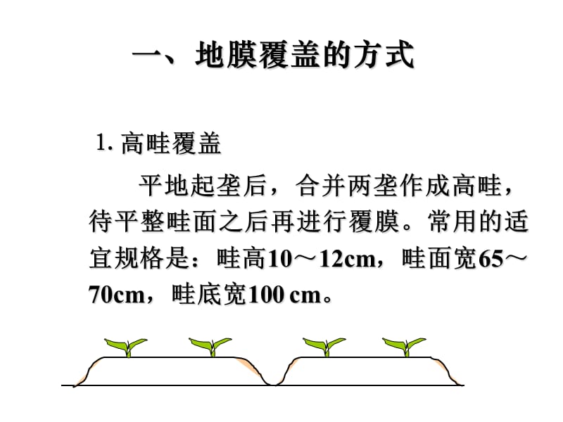 地膜覆盖技术 (2).ppt_第3页