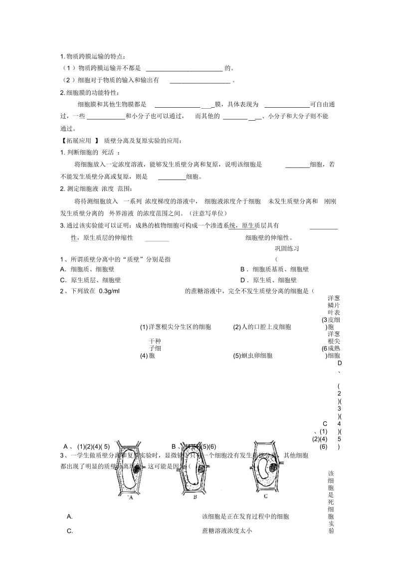 物质跨膜运输的实例学案(人教版必修1).docx_第3页