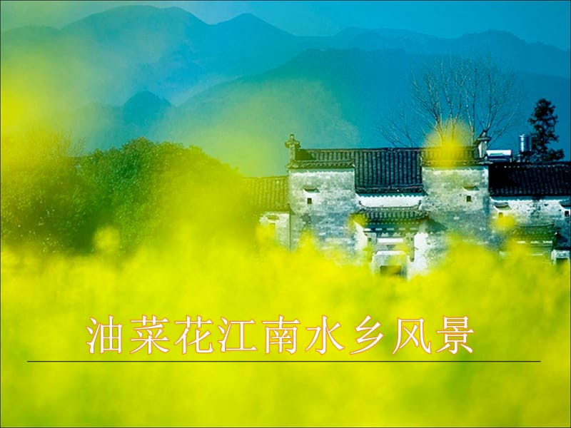 江南水乡油菜花风景ppt模板.ppt_第1页