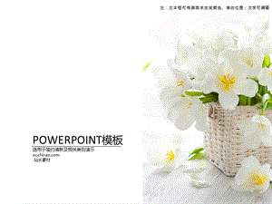 简美花篮家装ppt模板.ppt