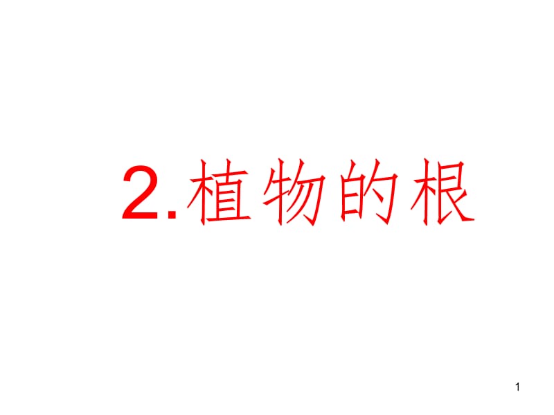 2、植物的根PPT课件.ppt_第1页