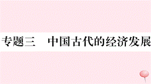 2019秋七年级历史上册 专题三 中国古代的经济发展习题课件 新人教版.ppt