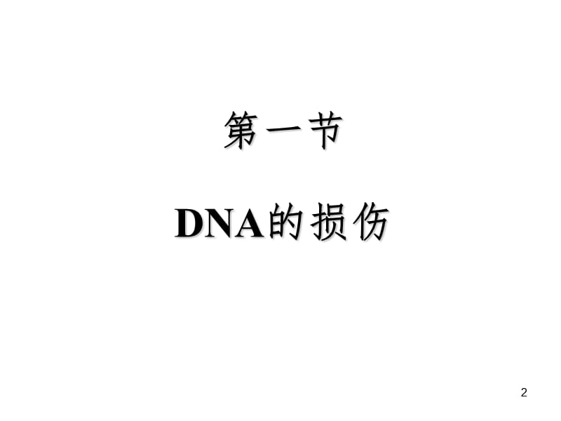 第5章-DNA的损伤修复及突变PPT课件.ppt_第2页