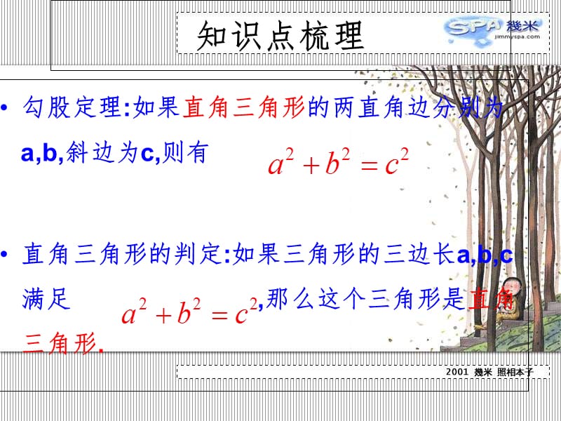 八年级数学勾股定理复习(教学2019)PPT课件.ppt_第2页