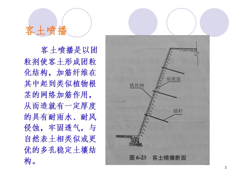 第五节-边坡植物绿化防护工程PPT课件.ppt_第3页