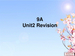 9上unit2Revision课件.pdf