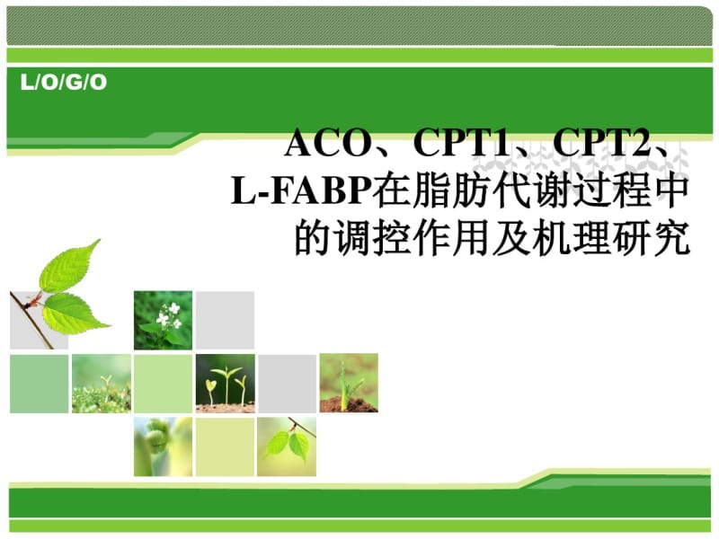 ACO、CPTI、CPTII、L-FABP等脂代谢中关键酶的研究进展教案资料.pdf_第1页