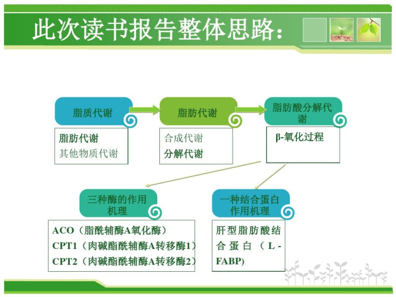 ACO、CPTI、CPTII、L-FABP等脂代谢中关键酶的研究进展教案资料.pdf_第2页