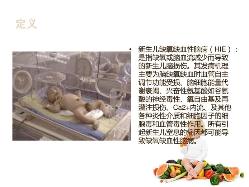 新生儿缺血缺氧性脑病护理课件.ppt_第2页