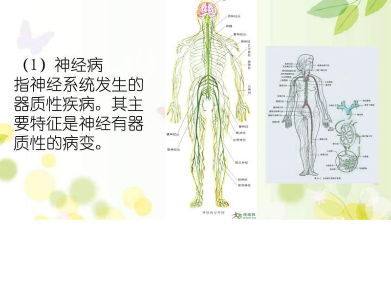 神经病、神经症和精神病的区别课件.ppt_第3页