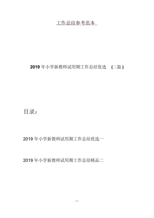 2019年小学新教师试用期工作总结优选(二篇).docx